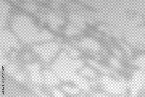 Abstract shadow from the window. Reflected from sun light for effect overlay. Tree shades on the wall isolated on transparent background. Reflection sunlight. Design summer mockup. Vector illustration