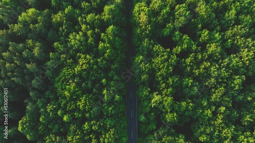 The view from the drone to the road through the forest against the background of the setting sun. Aerial view of cars driving through the forest. Forest road from the bird's eye view.