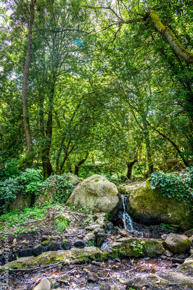 Water and rocks in San Leonardo forest Water and rocks in San Leonardo forest
