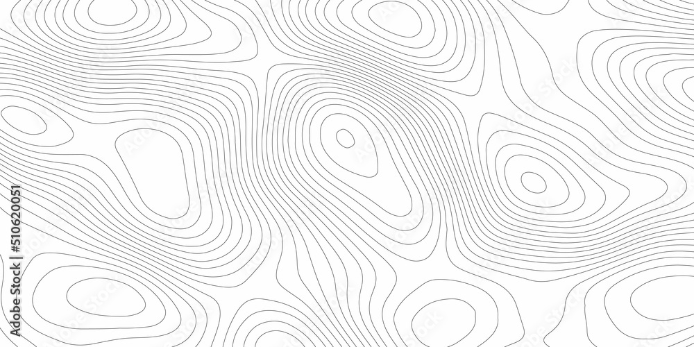 Black and white abstract background vector .The concept of a conditional geography scheme and the terrain path.  Topography map concept. Topographic background and texture Wavy backdrop