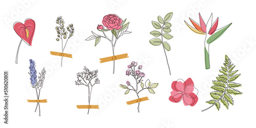 One continuous line set of plants, flower hand drawing collection for t-shirt prints, logos, stories, social.