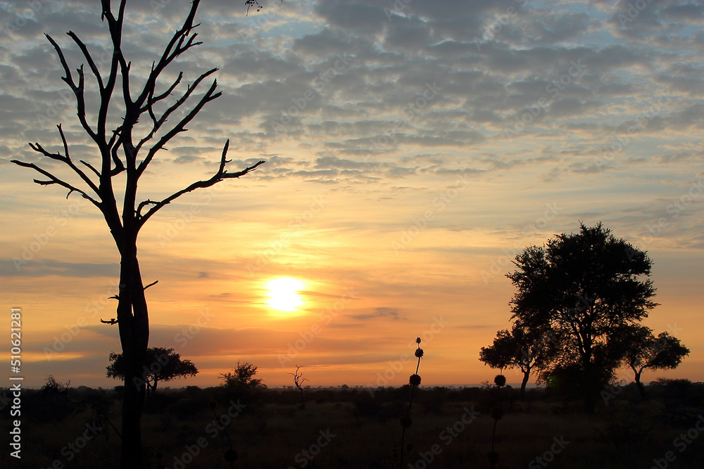 Sonnenaufgang - Krüger Park Südafrika / Sunrise - Kruger Park South Africa / Sonnenaufgang - Krüger Park Südafrika / Sunrise - Kruger Park South Africa /