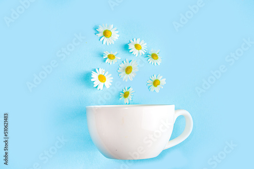 Fototapeta Naklejka Na Ścianę i Meble -  Cup of brewed chamomile tea with  bouquet of chamomile daisy, blue wooden background copy space. Herbal organic cold drink.