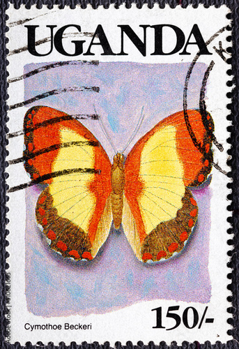 UGANDA - CIRCA 1989: A stamp printed in Uganda, serias-Butterflies, Cymothoe beckeri, circa 1989. photo