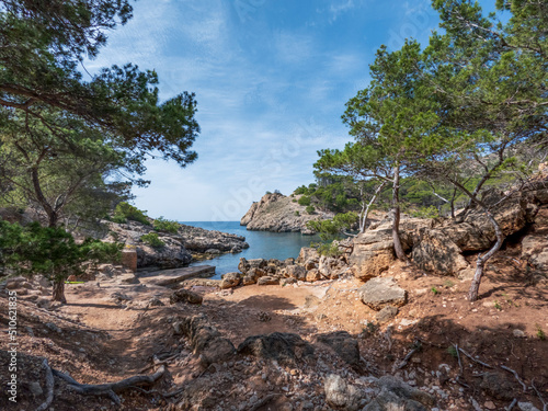 Calo den Monjo sea inlet and cove, cliffs and pine tree forest of the Mallorca coast, Balearic island, Spain photo