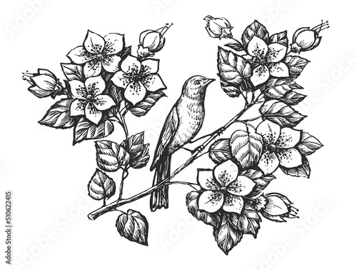 Bird on branch sketch. Nightingale and flowers hand drawn in vintage engraving style. Vector illustration