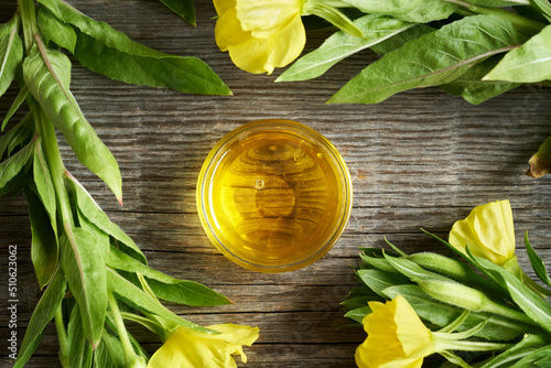 A bowl of evening primrose oil with fresh blooming evening primrose, top view photo