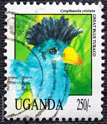 UGANDA - CIRCA 1992: post stamp 50 Ugandan shillings printed by Republic of Uganda, shows Great blue turaco wild exotic, tropical bird, circa 1992