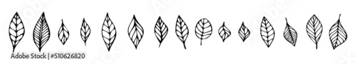 Hand drawn leaves set. Line leaf in cartoon style for coloring page, kids design, season of spring, summer, autumn. Botanical collection icons for ecology.