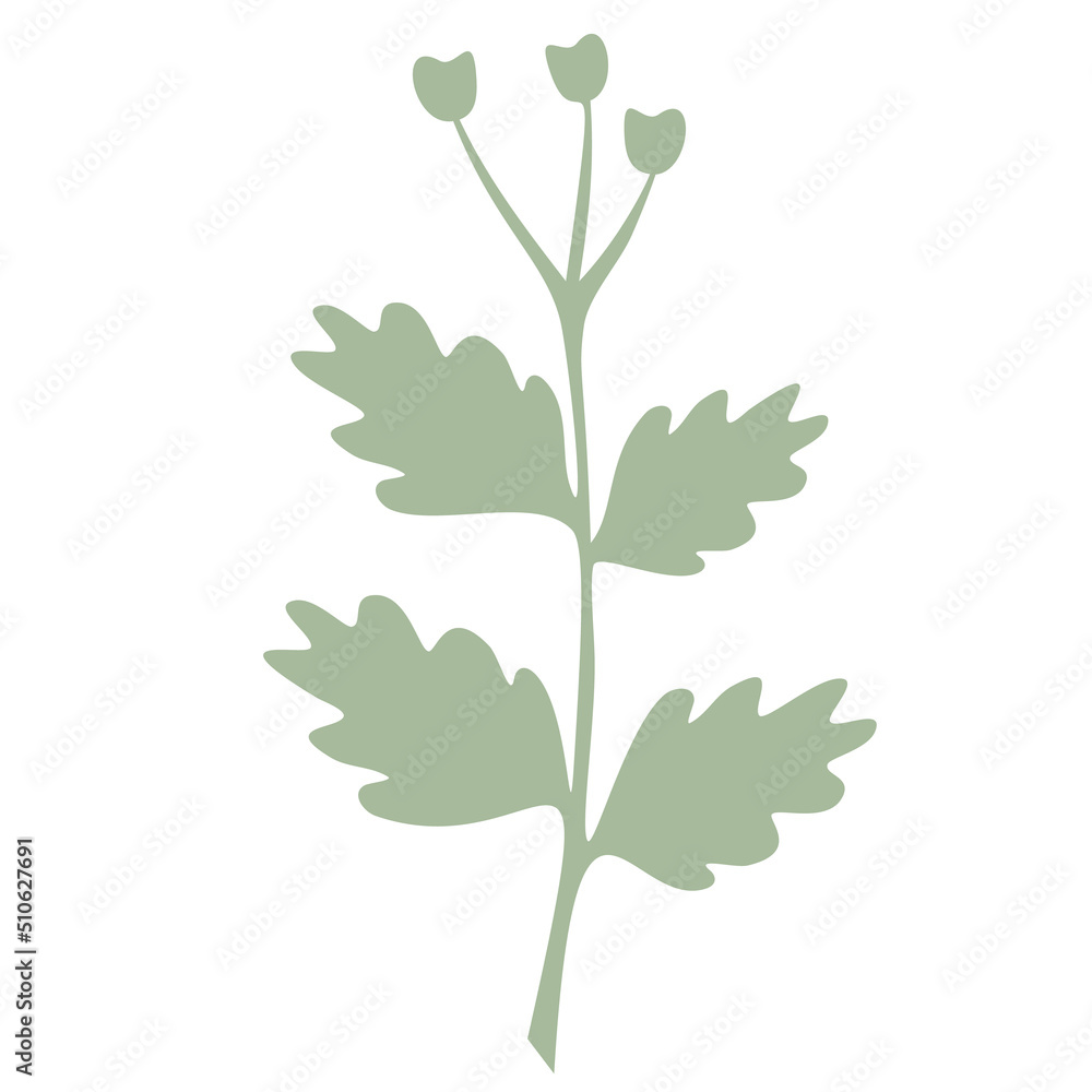 Green Leaf vector isolated on white background. Leaves in modern flat style. Green Leaf vector isolated on white background. Leaves in modern flat style.