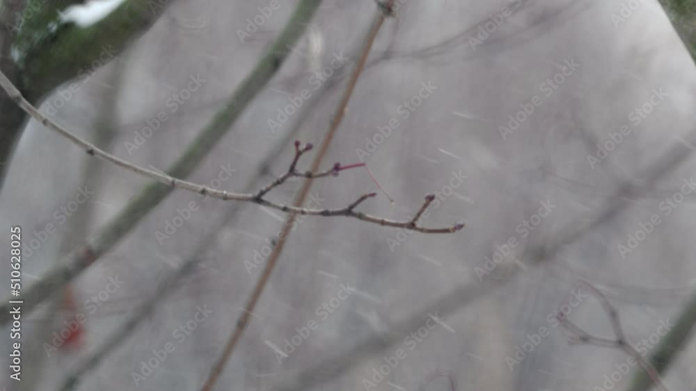 Wind with snow close up Wind with snow close up