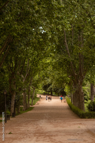 Photos de el parque El Retiro en Madrid! 