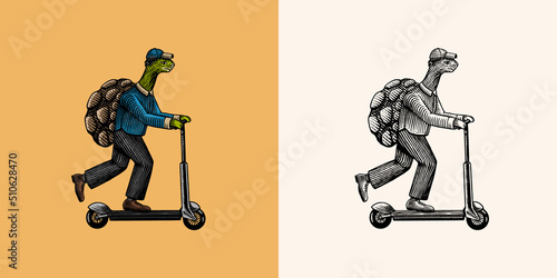 A turtle man in a suit rides a scooter. Food delivery man. Fashion animal character. Hand drawn woodcut outline sketch. Vector engraved illustration for logo and tattoo or T-shirts.