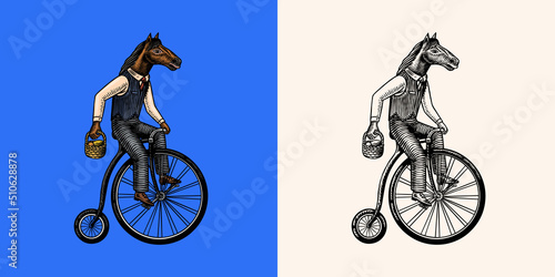 A horse man in a suit rides a bicycle. Food delivery man. Fashion animal character. Hand drawn woodcut outline sketch. Vector engraved illustration for logo and tattoo or T-shirts.