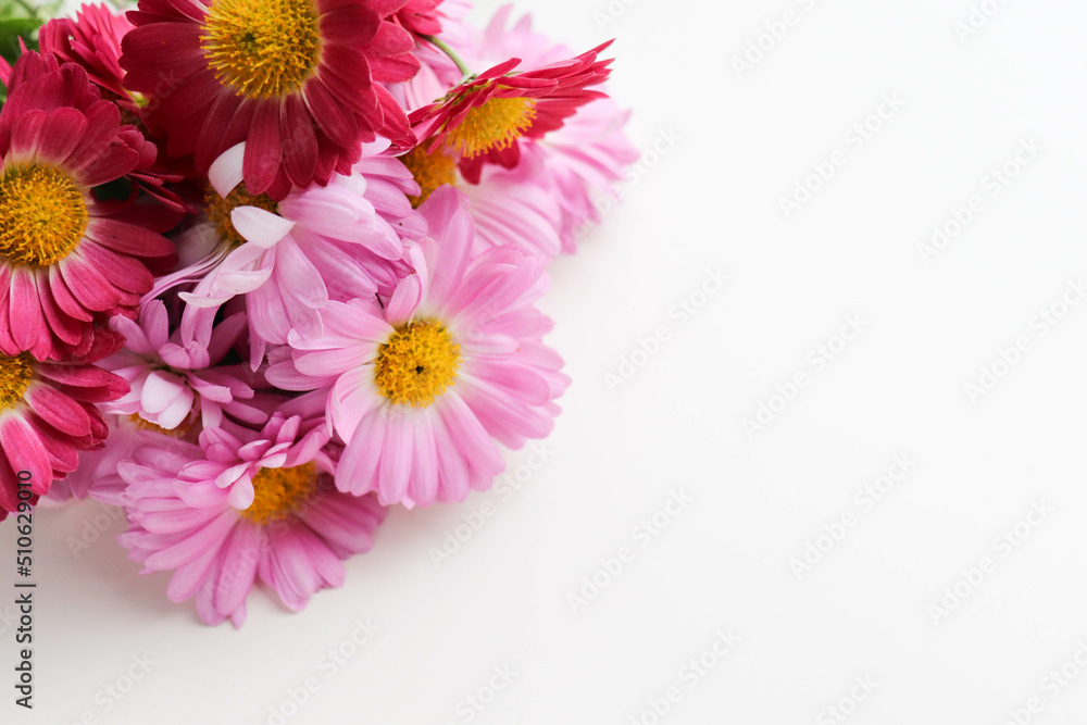 greeting card design. a small bouquet of autumn chrysanthemums on a white background and a place for text. congratulation. invitation