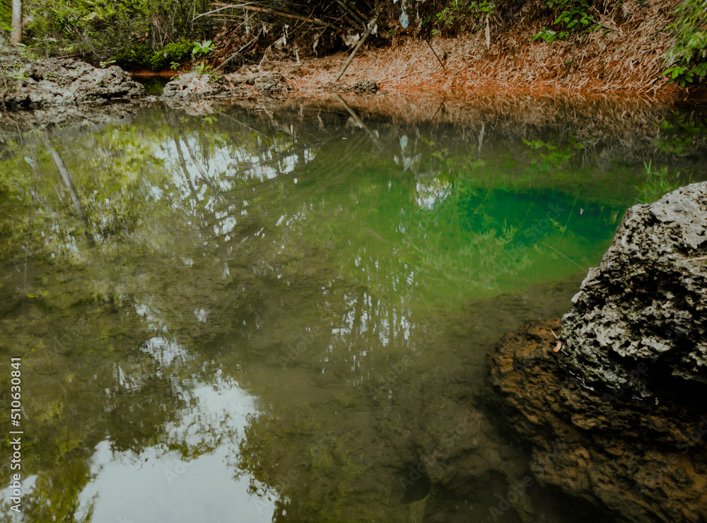 Lake in the forest