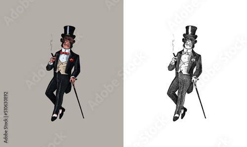 Fashionable monkey in clothes. Antique gentleman smoking a cigar. Victorian Ancient Retro Clothing. A man in a suit. Vintage engraving style. Hand drawn old monochrome sketch. Vector illustration.