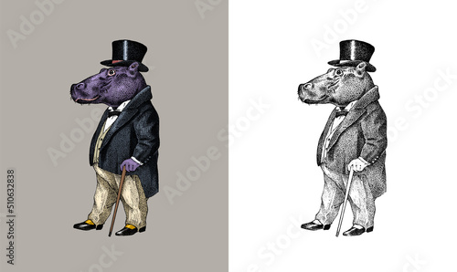 Fashionable hippopotamus. Antique gentleman in a jacket and a top hat. Victorian Ancient Retro Clothing. A man in a suit. Vintage engraving style. Hand drawn old monochrome sketch.