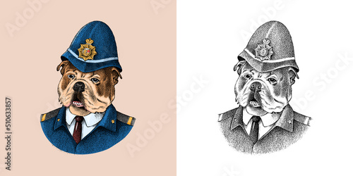  English Bulldog. Dog dressed up in police suit. Fashion Animal character in clothes. Hand drawn sketch. Vector engraved illustration for label, logo and T-shirts or tattoo. 