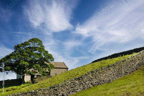 A steep farmers field with a drystone wall, a tree, and an abandoned farmhouse behind it.