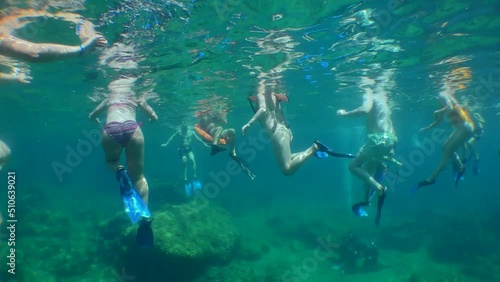 Wallpaper Mural Snorkeling: a group of tourists in underwater masks on the surface of the water, the camera slowly emerges from the water. Torontodigital.ca