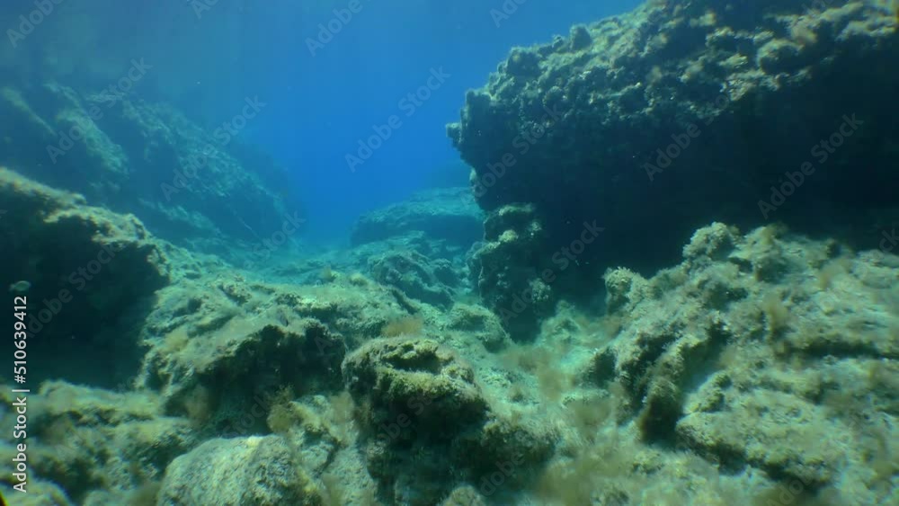 Snorkeling: the camera moves in shallow water among the stones covered with algae. Snorkeling: the camera moves in shallow water among the stones covered with algae.