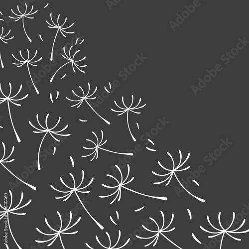black and white dandelion seeds background- vector illustration