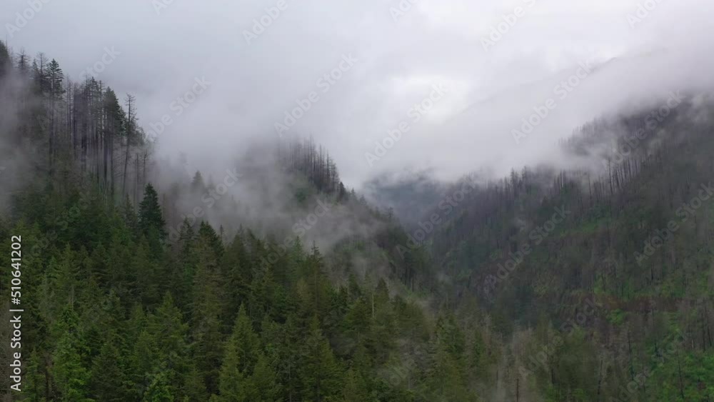 Rain clouds drift over the mountainous Columbia River Gorge in Oregon. The expanse of forests in this Pacific Northwest region thrive due to the geology, geography, and moist climate. Rain clouds drift over the mountainous Columbia River Gorge in Oregon. The expanse of forests in this Pacific Northwest region thrive due to the geology, geography, and moist climate.