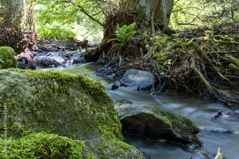 Obraz premium Tiny stream in forest with blurred water and stones covered in moss