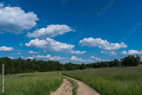Beautiful Czech meadow landscape in hot summer with fresh green grass and puffy white clouds