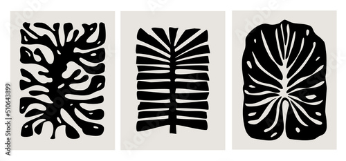 abstract geometric plants leaves, modern wall art graphic prints templates, ink foliage vector illustration