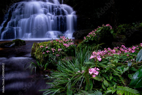 waterfall and flowers