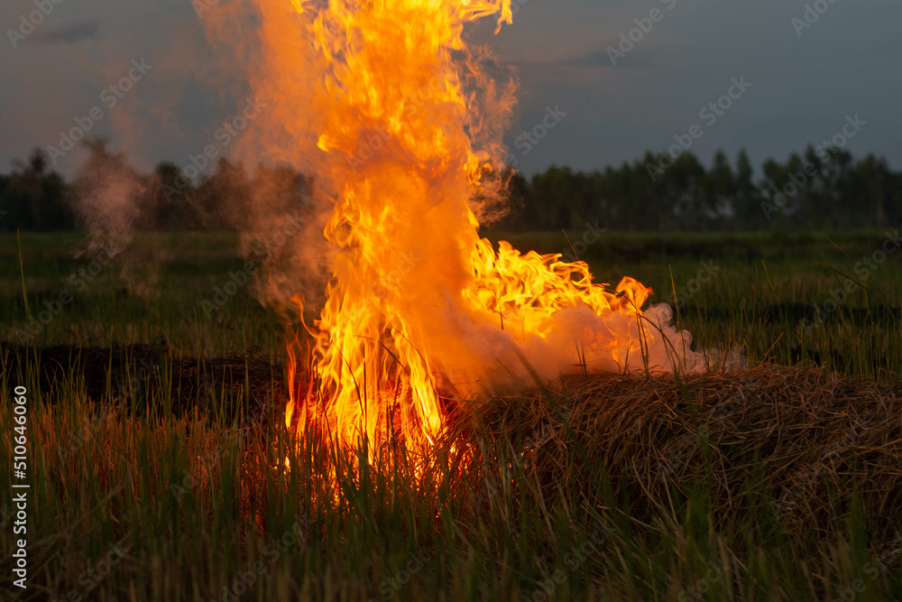 The fire burns rice straw and hay in the field at night. In Northeastern Thailand Southeast Asia
