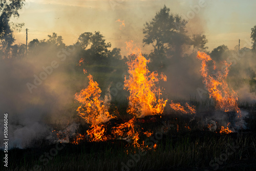 The fire burns rice straw and hay in the field at night. In Northeastern Thailand Southeast Asia 