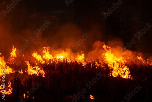 The fire burns rice straw and hay in the field at night. In Northeastern Thailand Southeast Asia 