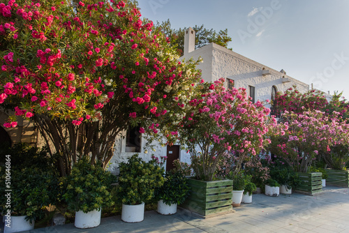 street in the village of the region