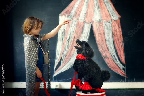 Cute child girl and black poodle dog playing circus. Tent drawn in chalk, dog training