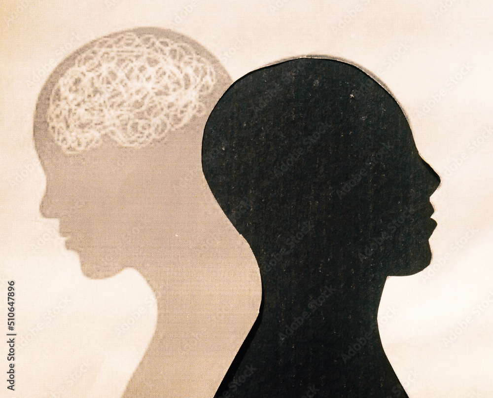 Human Brain Isolated Within Human Head and its shadow. Paper