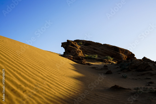 sand dunes in the desert