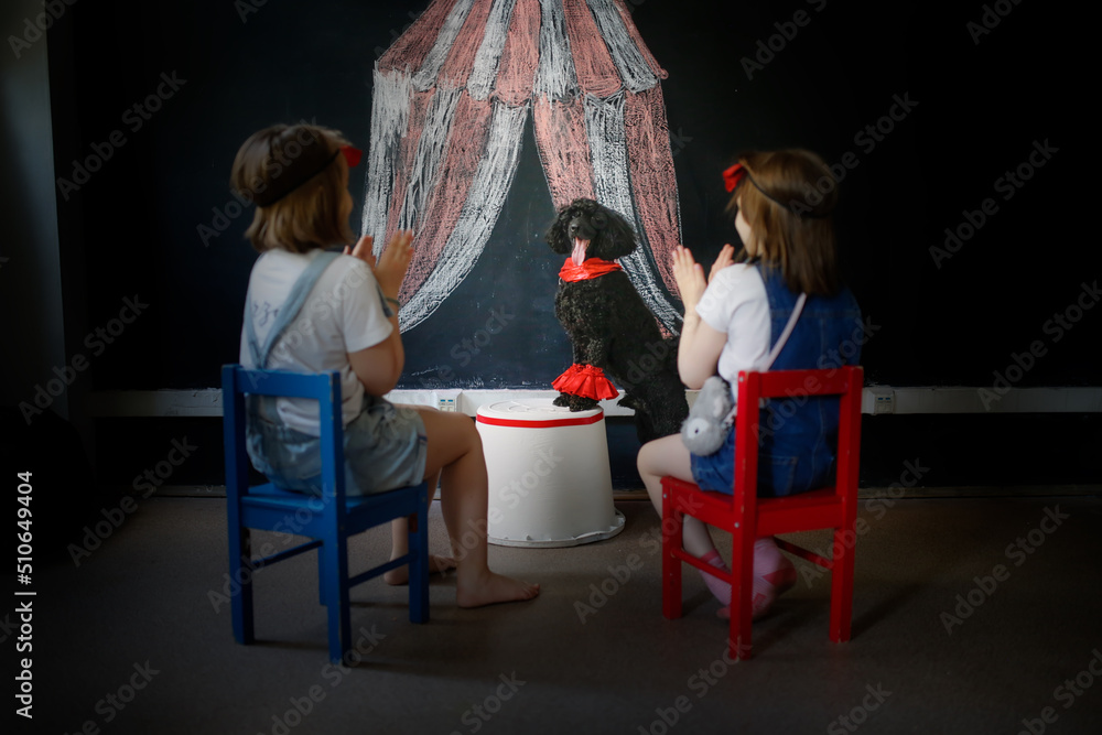 Two children watch poodle dog perform in front of painted circus, children clap their hands and rejoice in dog's performance. Black poodle is circus performer. Children and pet play circus. Two children watch poodle dog perform in front of painted circus, children clap their hands and rejoice in dog's performance. Black poodle is circus performer. Children and pet play circus.