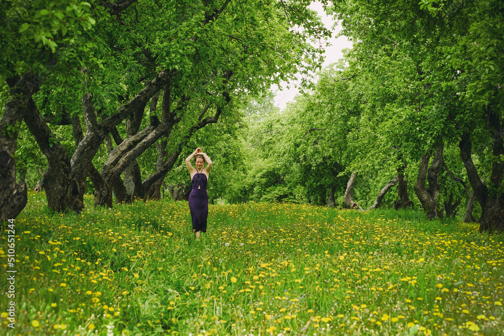 a woman walks in an apple orchard among blooming dandelions a woman walks in an apple orchard among blooming dandelions