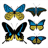 set of butterflies 
