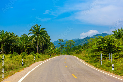 Asphalt highway road in jungles, Khlong Phanom National Park, Ka © Cavan