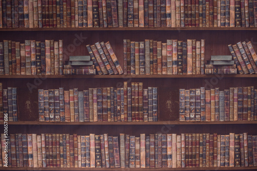 Library background for studio and photo sessions