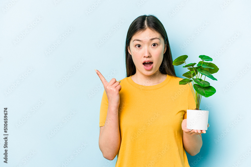 Young asian woman holding a plant isolated on blue background pointing to the side Young asian woman holding a plant isolated on blue background pointing to the side