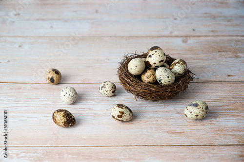 Nest full of quail eggs. Happy easter. April holidays concept.