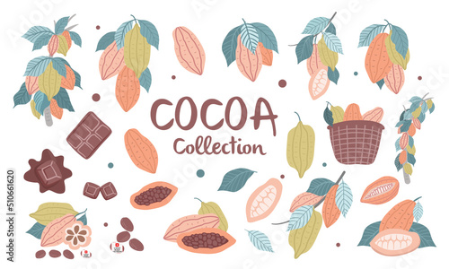 collection of cocoa isolated on white background. Vector illustration.