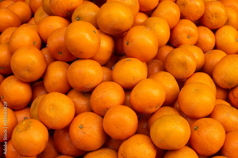 Bunch of Oranges or sweet orange fruits, scientific fruit family Rutaceae, are displayed for sale at New Market area, Kolkata, India.