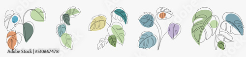 Simplicity monstera leaf freehand continuous line drawing flat design.