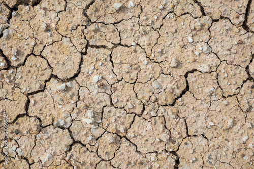 Earth environmental resources cracks from ground drought